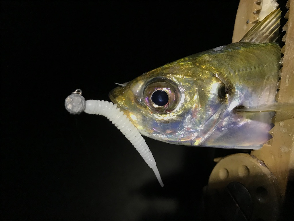 f:id:esojima3:20200810133210j:plain f:id:esojima3:20200810133210j:plain