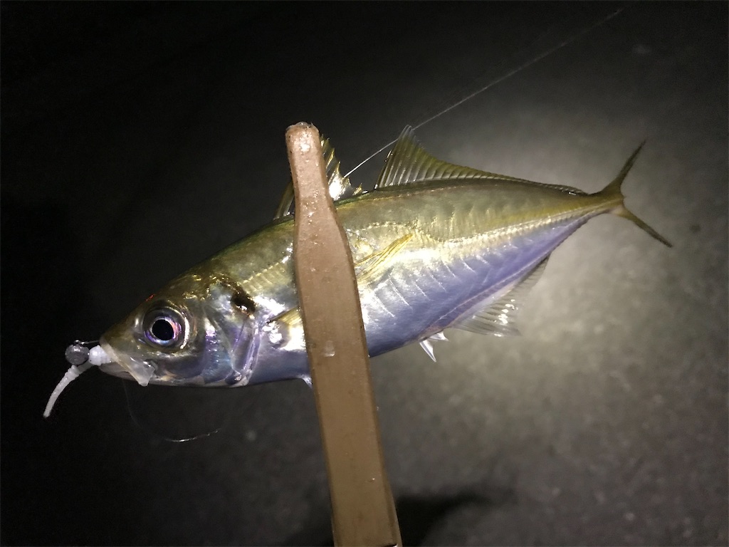 f:id:esojima3:20200810133237j:plain f:id:esojima3:20200810133237j:plain
