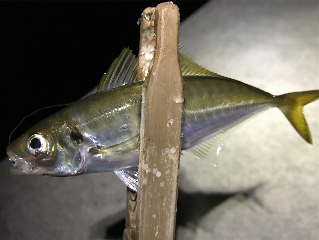 f:id:esojima3:20200813100203j:plain