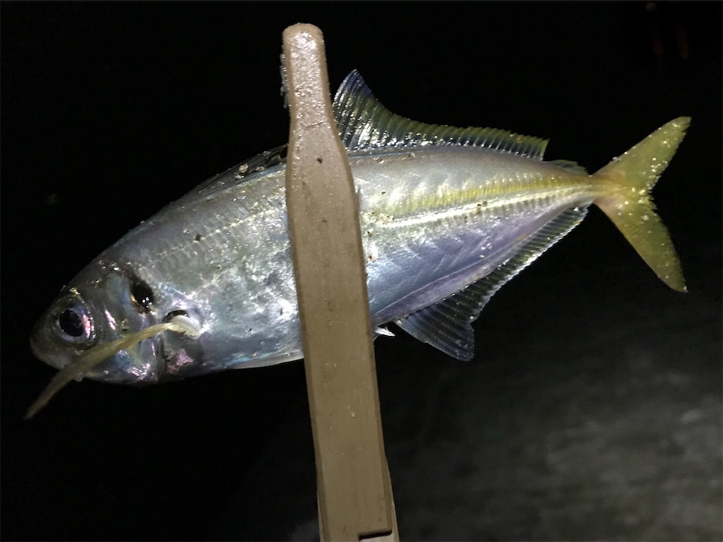 f:id:esojima3:20200813102357j:plain