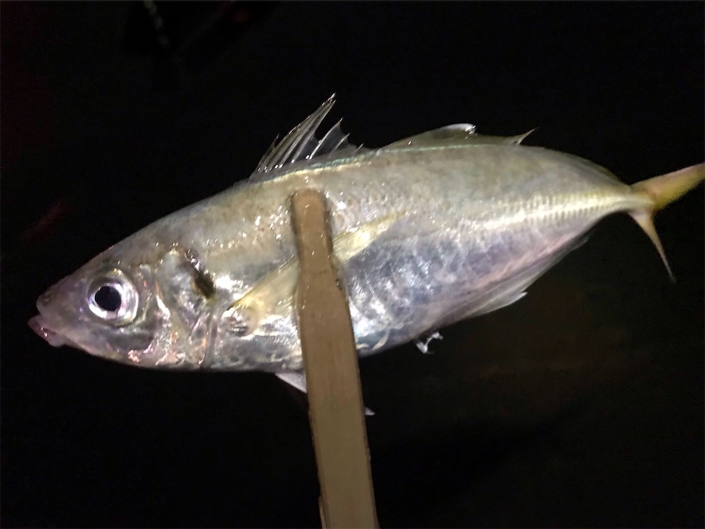 f:id:esojima3:20200819232404j:plain