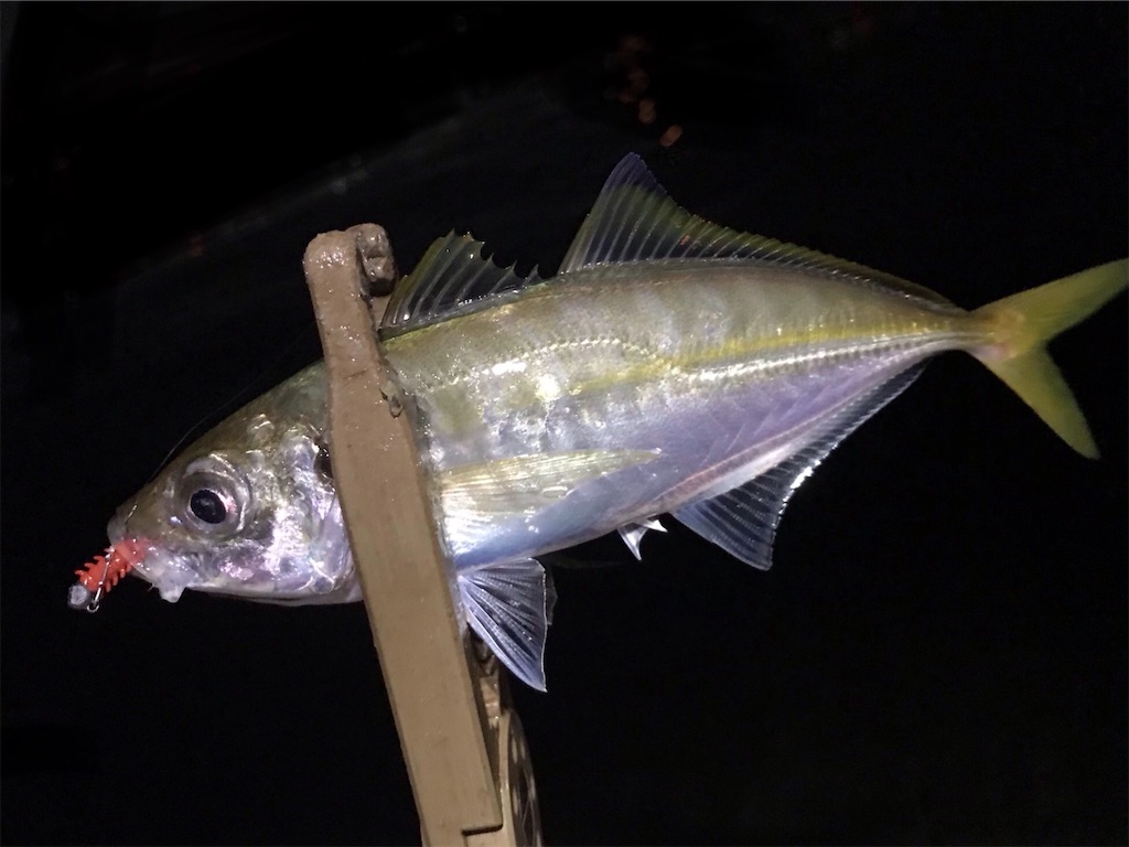 f:id:esojima3:20200819232408j:plain