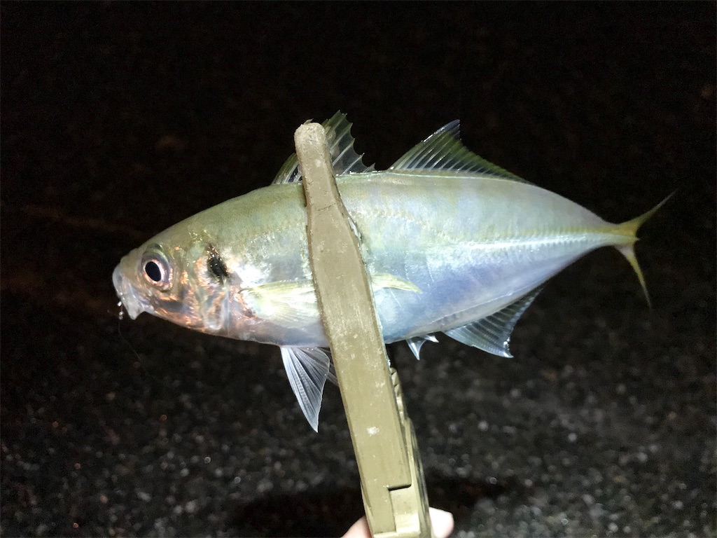 f:id:esojima3:20200823163105j:plain f:id:esojima3:20200823163105j:plain