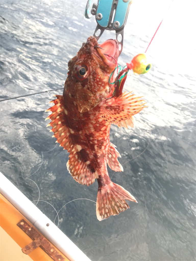 f:id:esojima3:20200829093014j:plain