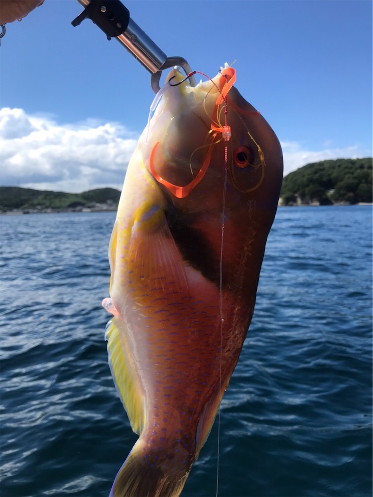 f:id:esojima3:20200829093635j:plain