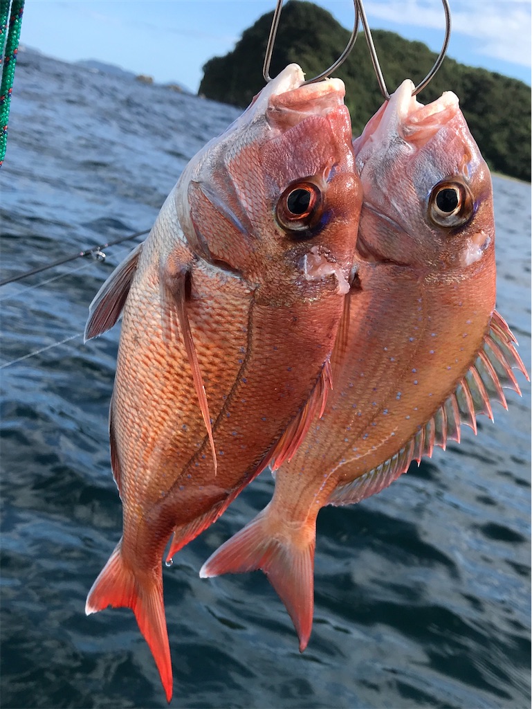 f:id:esojima3:20200829094158j:plain