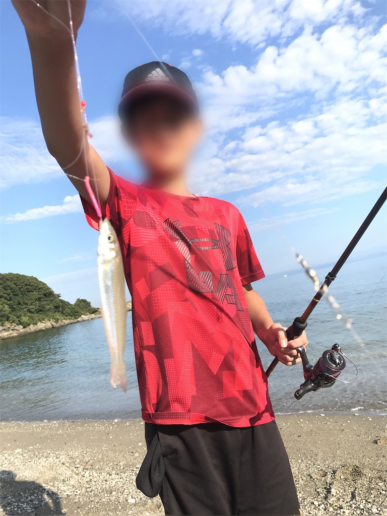 f:id:esojima3:20200830185806j:plain f:id:esojima3:20200830185806j:plain