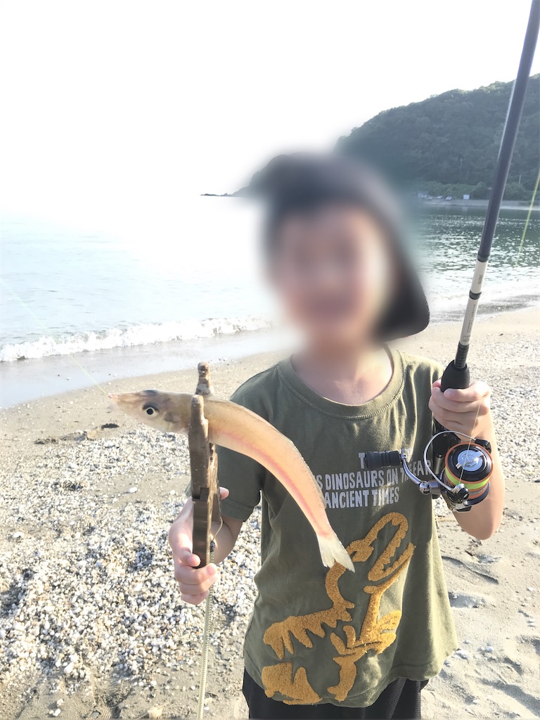 f:id:esojima3:20200830185831j:plain f:id:esojima3:20200830185831j:plain