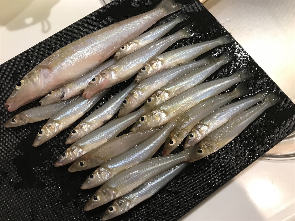 f:id:esojima3:20200830201555j:plain f:id:esojima3:20200830201555j:plain