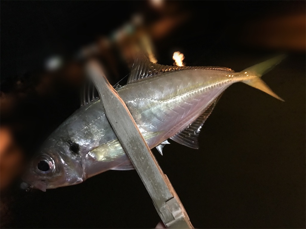 f:id:esojima3:20200903170718j:plain