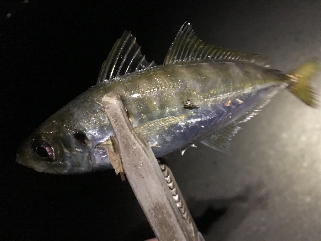 f:id:esojima3:20200903170726j:plain