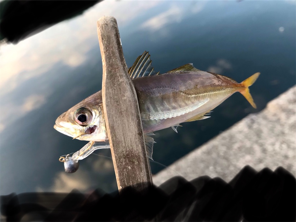 f:id:esojima3:20200905144105j:plain