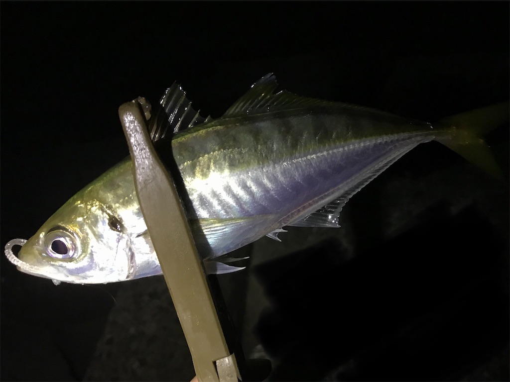 f:id:esojima3:20200909234154j:plain