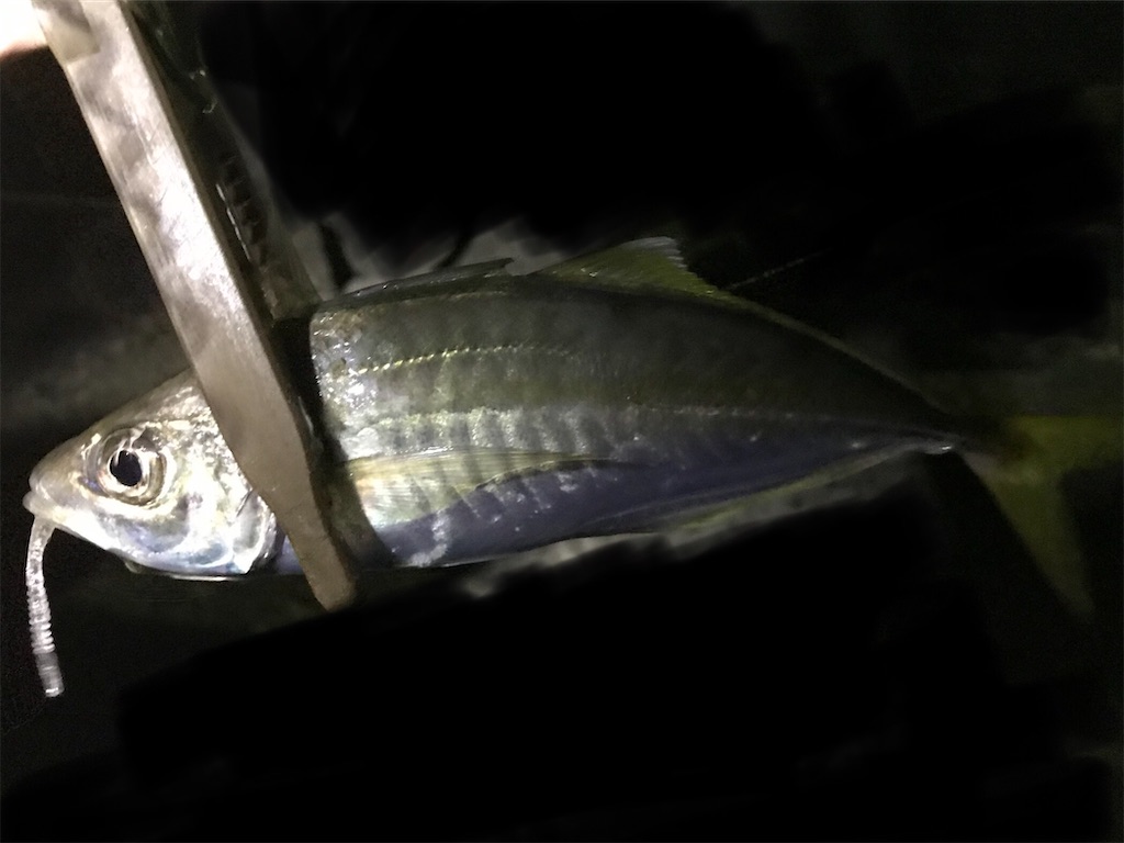 f:id:esojima3:20200909234159j:plain