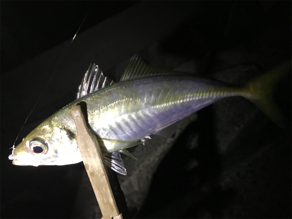 f:id:esojima3:20200909234204j:plain