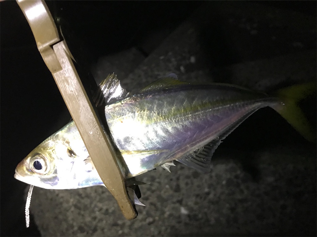 f:id:esojima3:20200909234208j:plain