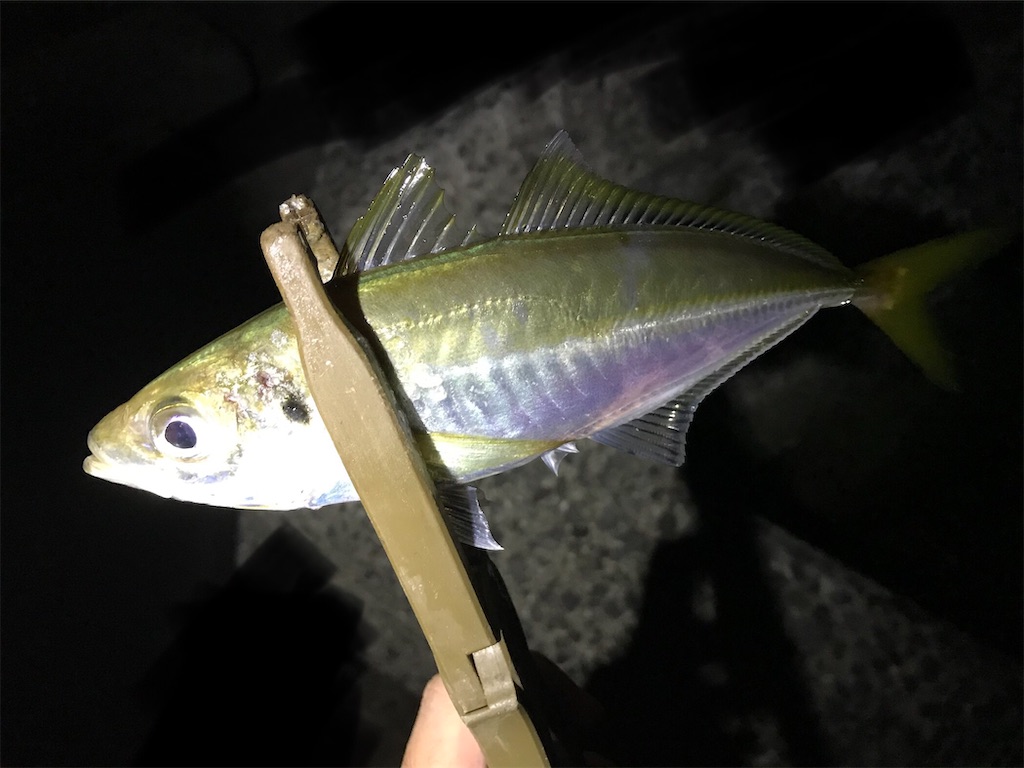 f:id:esojima3:20200909234218j:plain
