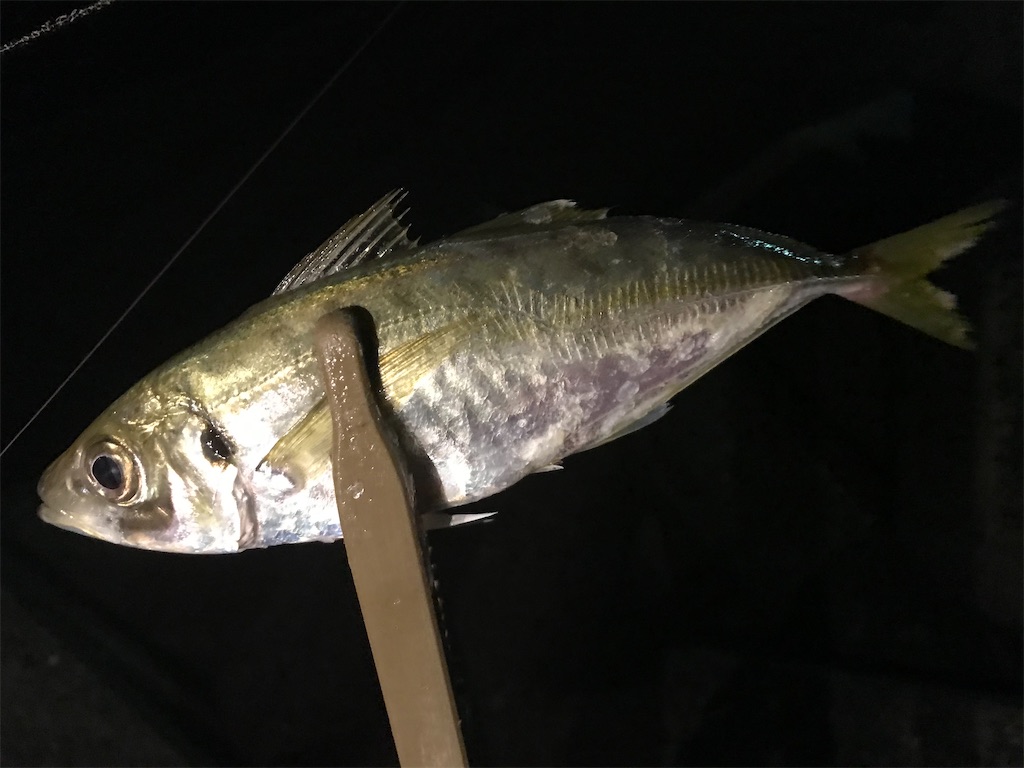 f:id:esojima3:20200910235403j:plain