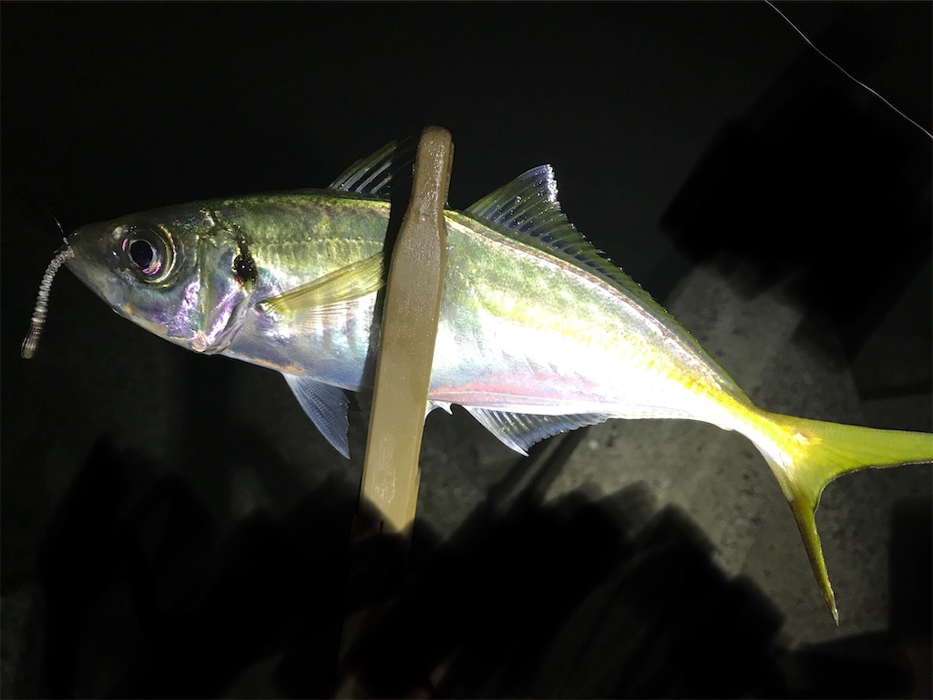 f:id:esojima3:20200910235407j:plain