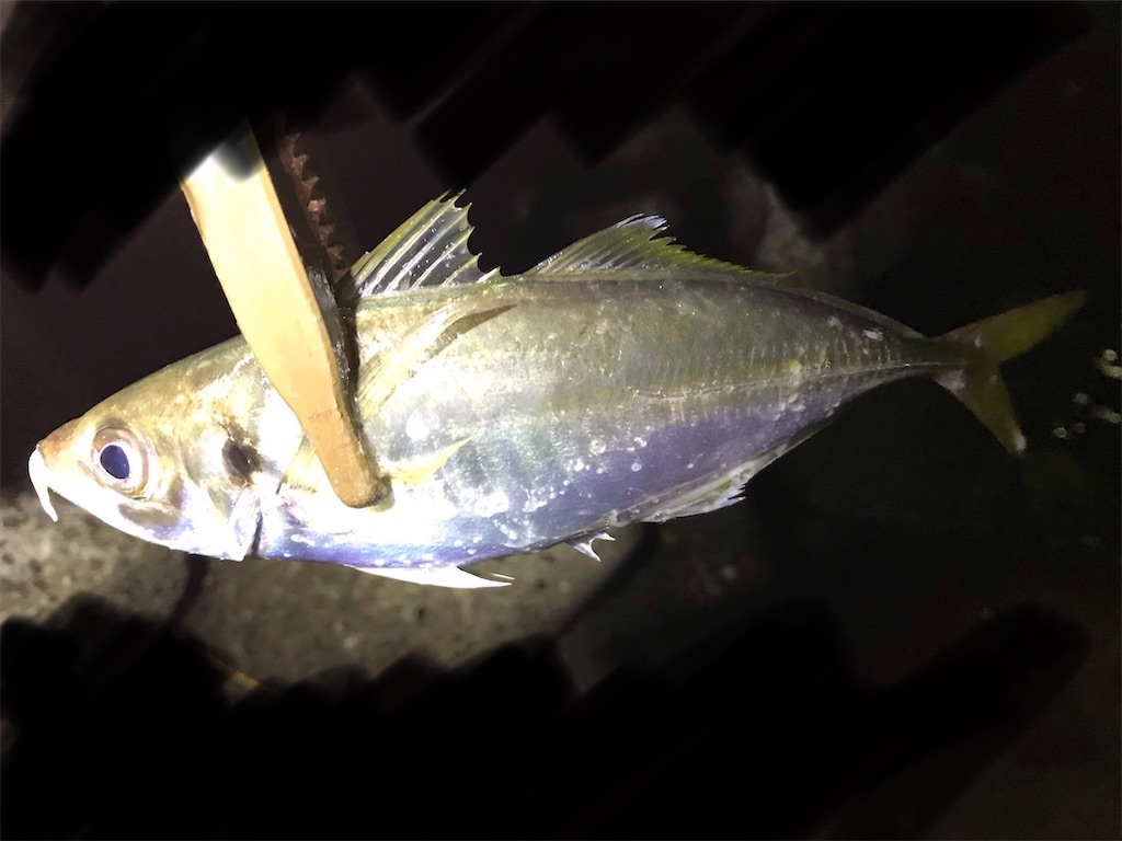 f:id:esojima3:20200910235708j:plain