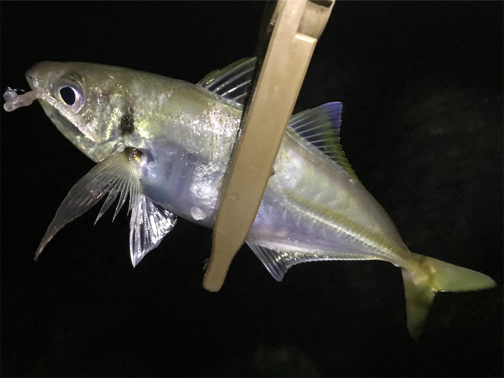 f:id:esojima3:20200910235711j:plain