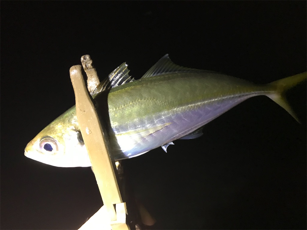 f:id:esojima3:20200910235715j:plain