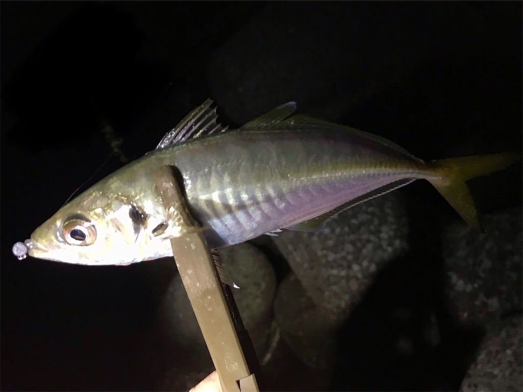 f:id:esojima3:20200913192208j:plain