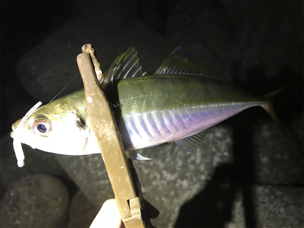 f:id:esojima3:20200913192219j:plain