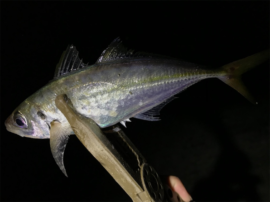 f:id:esojima3:20200915062650j:plain