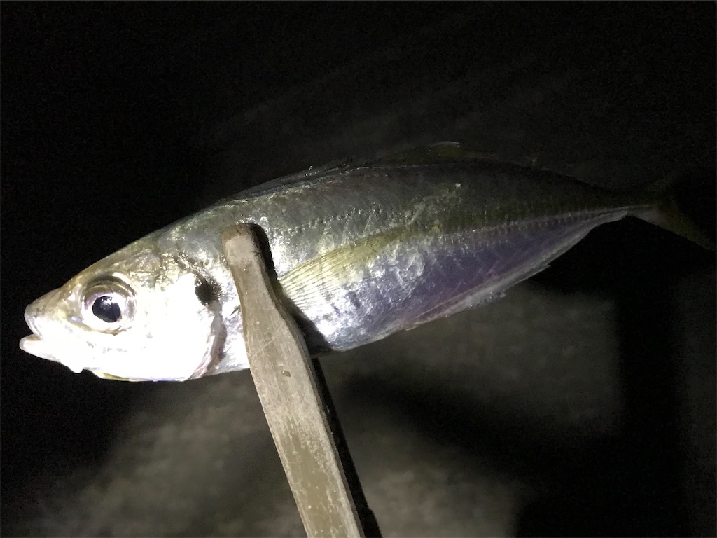 f:id:esojima3:20200915062656j:plain