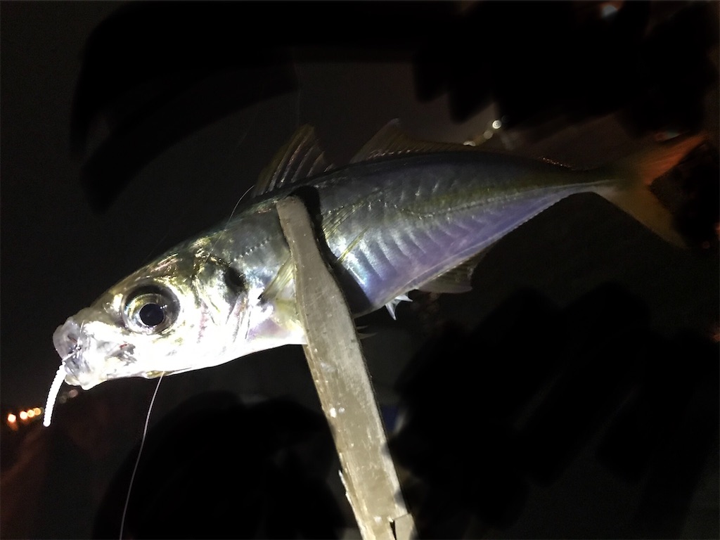 f:id:esojima3:20200917222613j:plain