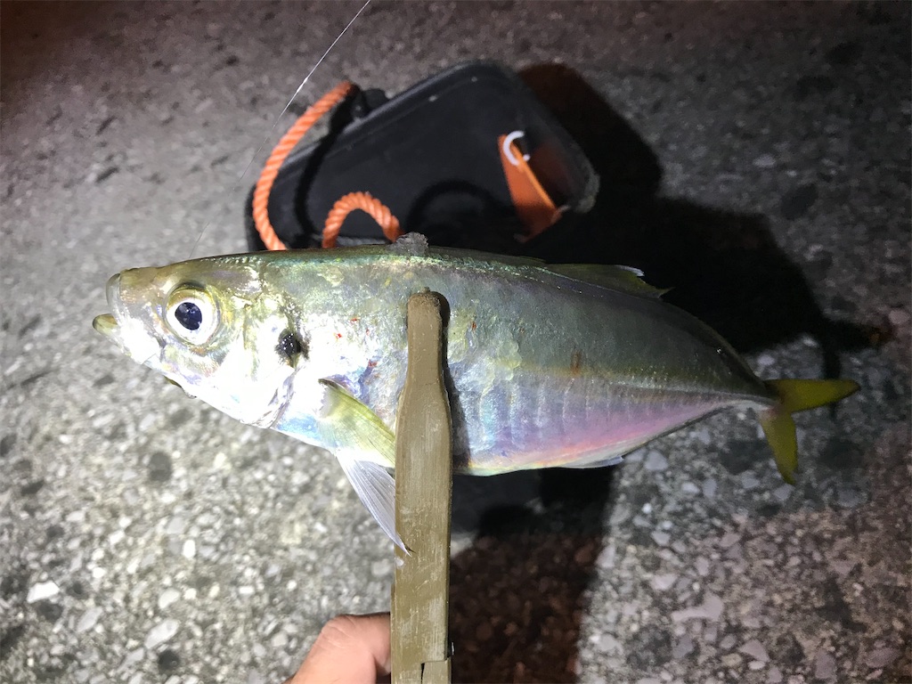 f:id:esojima3:20200920093017j:plain