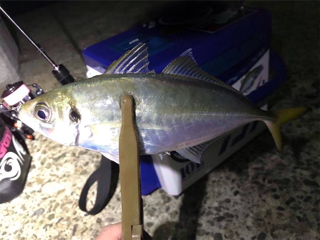 f:id:esojima3:20200920093636j:plain