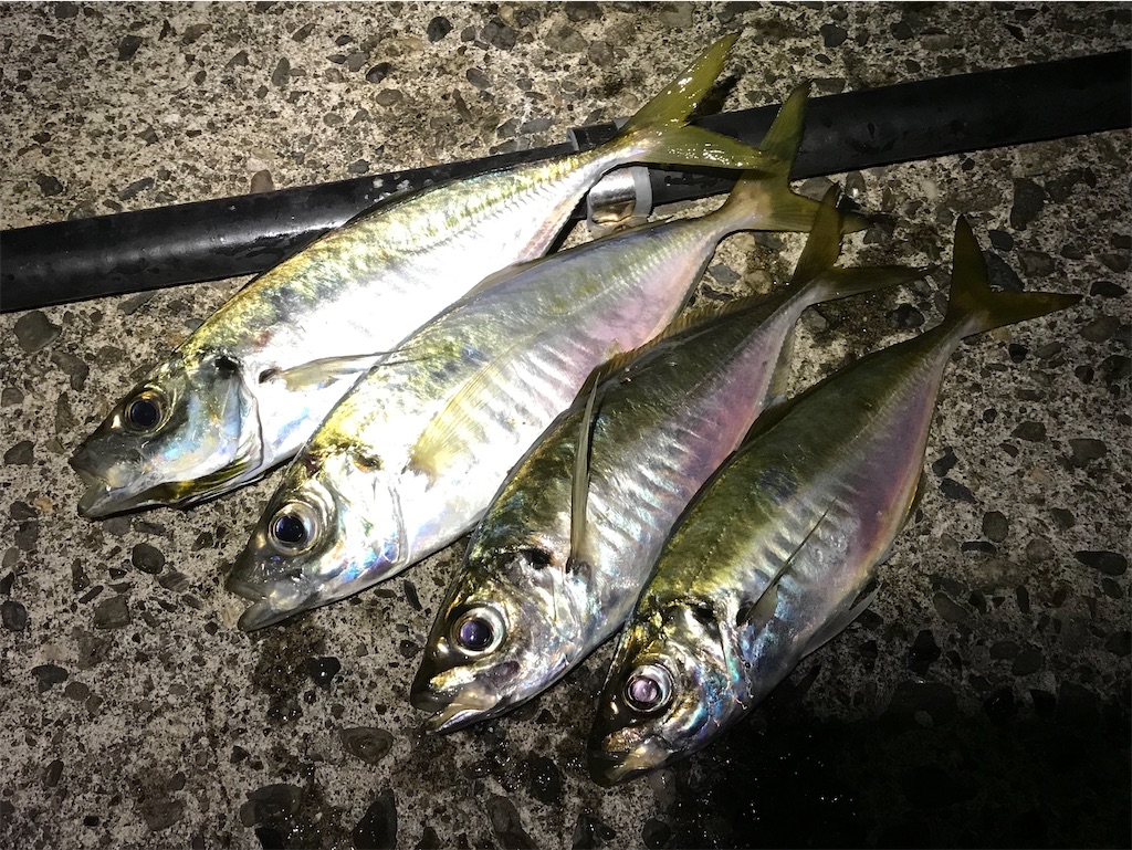 f:id:esojima3:20200920094130j:plain