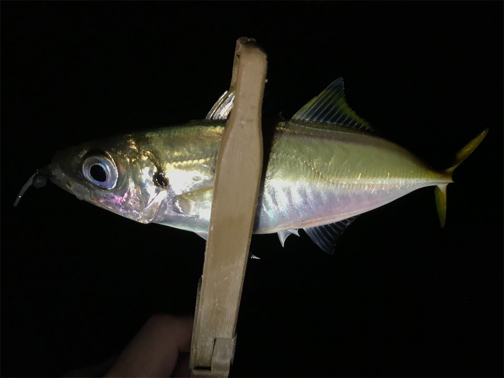 f:id:esojima3:20200924075644j:plain