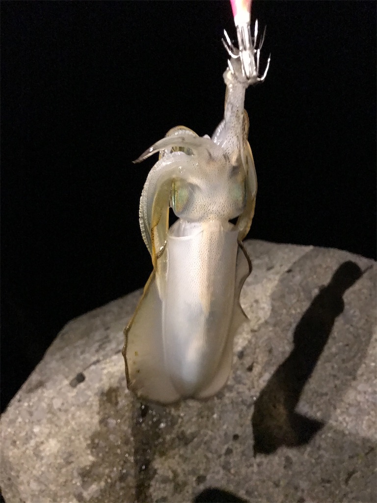 f:id:esojima3:20200924080651j:plain