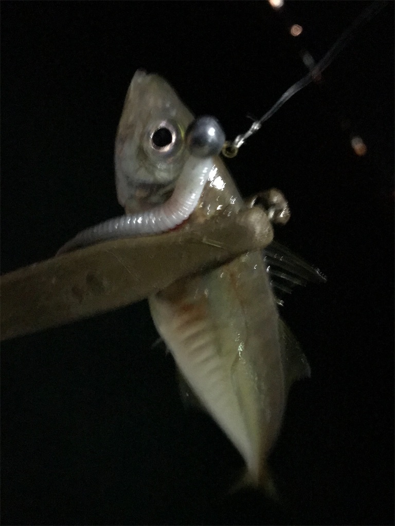 f:id:esojima3:20200924080805j:plain