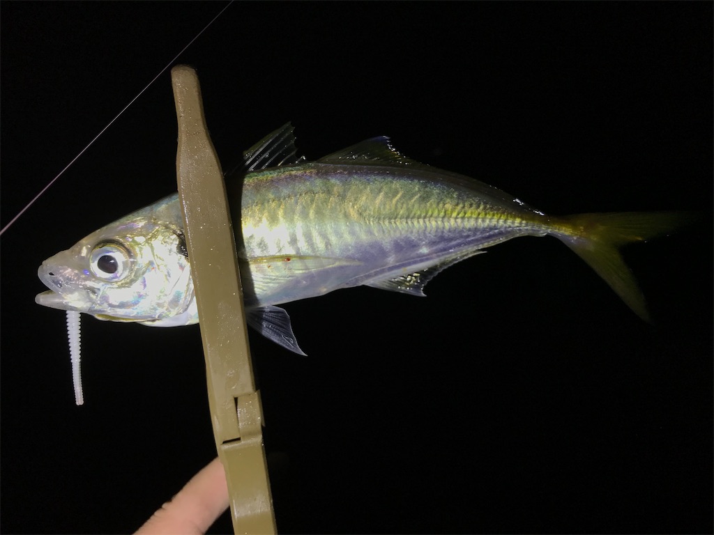 f:id:esojima3:20200924082504j:plain