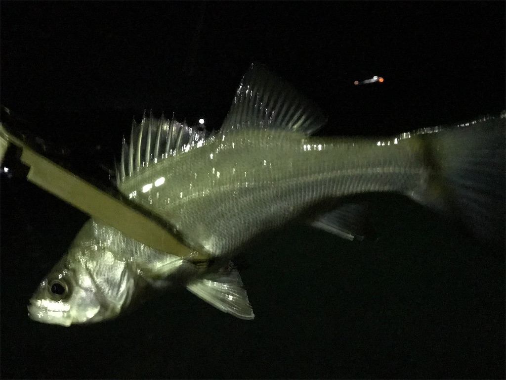 f:id:esojima3:20200924082509j:plain