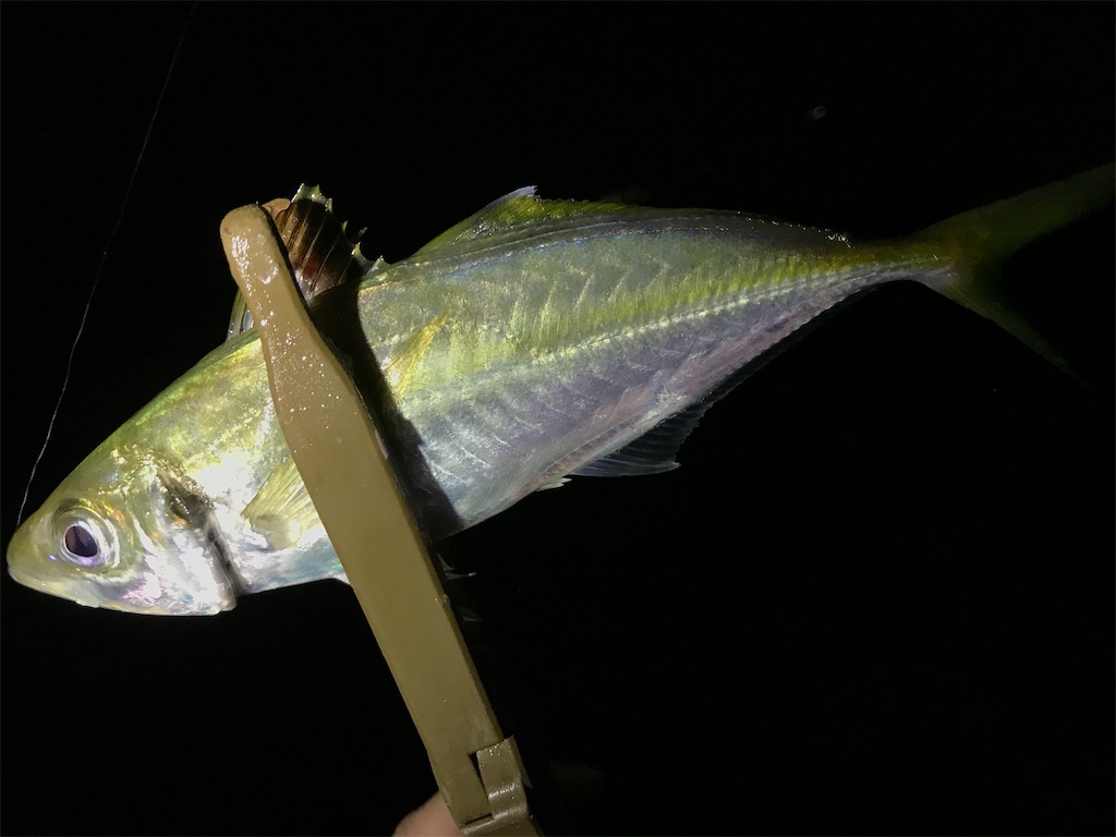 f:id:esojima3:20200924082513j:plain