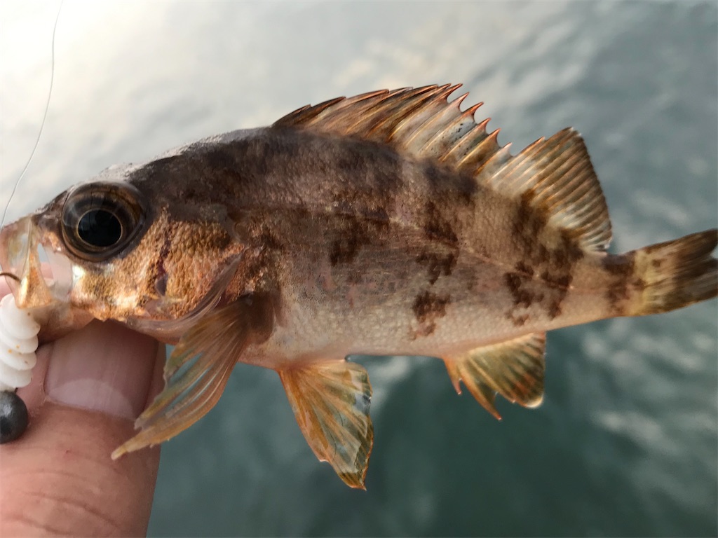 f:id:esojima3:20200924091740j:plain