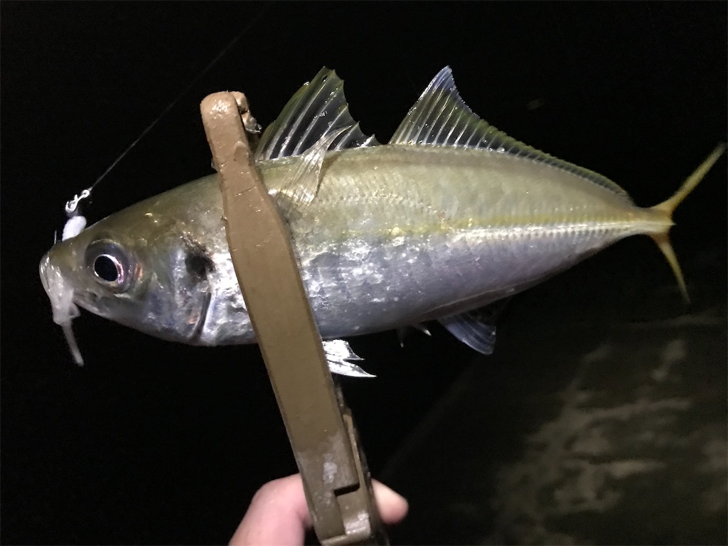 f:id:esojima3:20200924163201j:plain