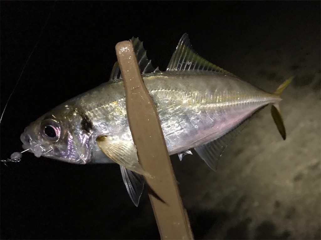 f:id:esojima3:20200924163743j:plain