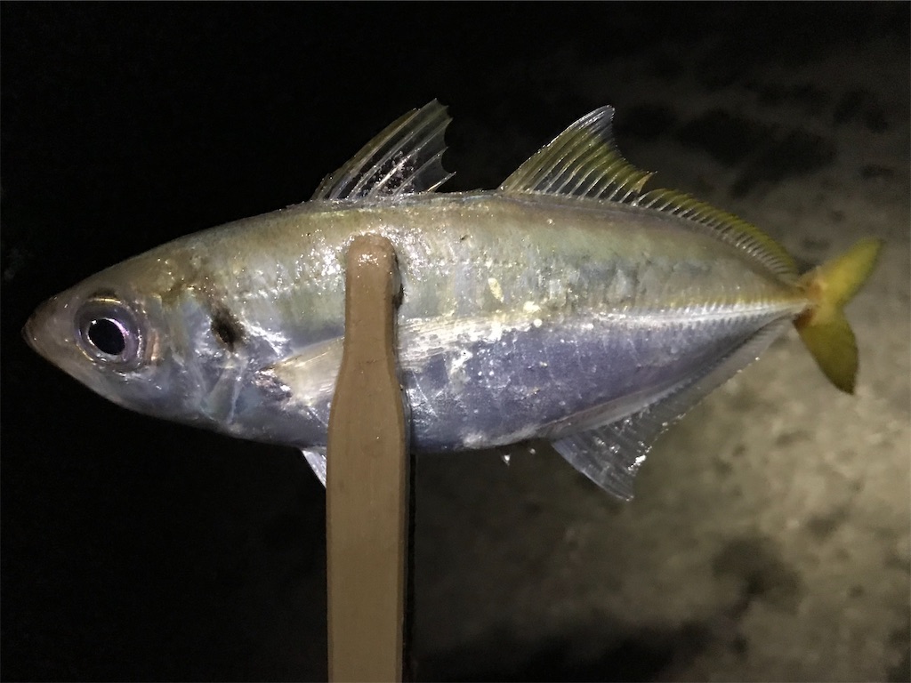 f:id:esojima3:20200924163751j:plain