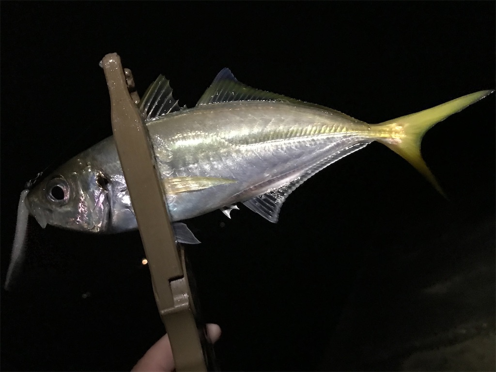 f:id:esojima3:20200924164045j:plain