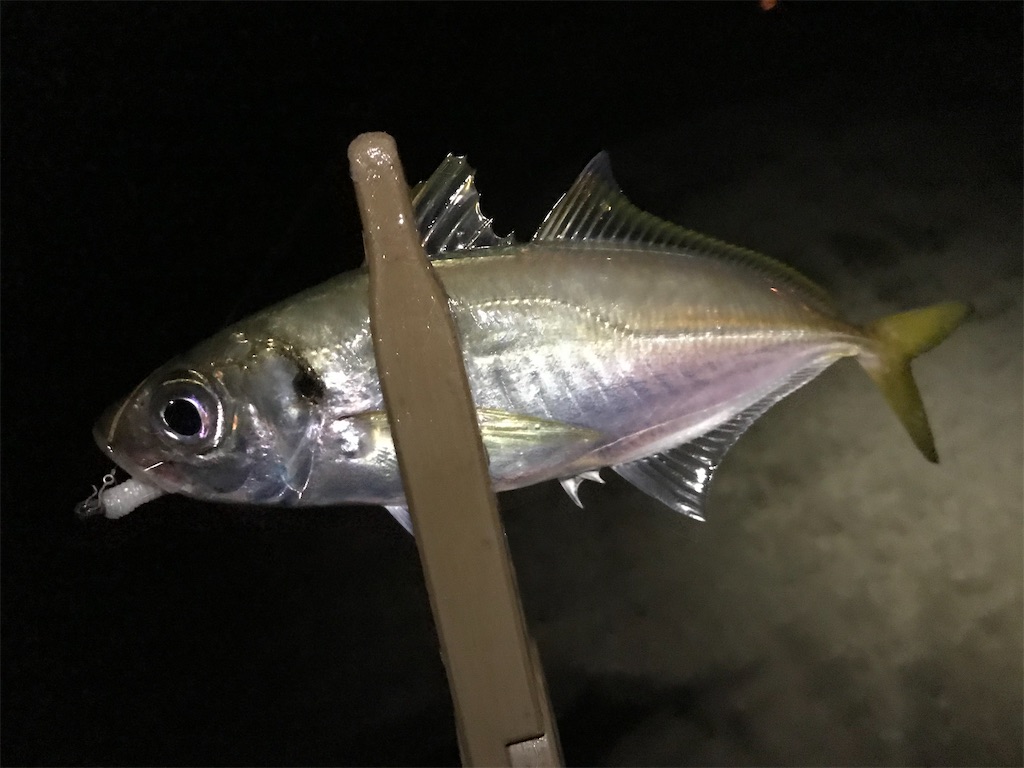 f:id:esojima3:20200924164049j:plain