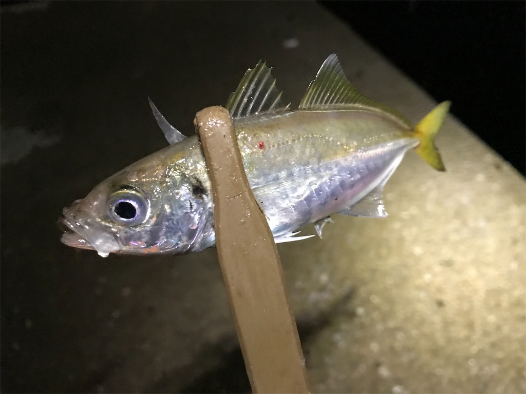 f:id:esojima3:20200926093000j:plain