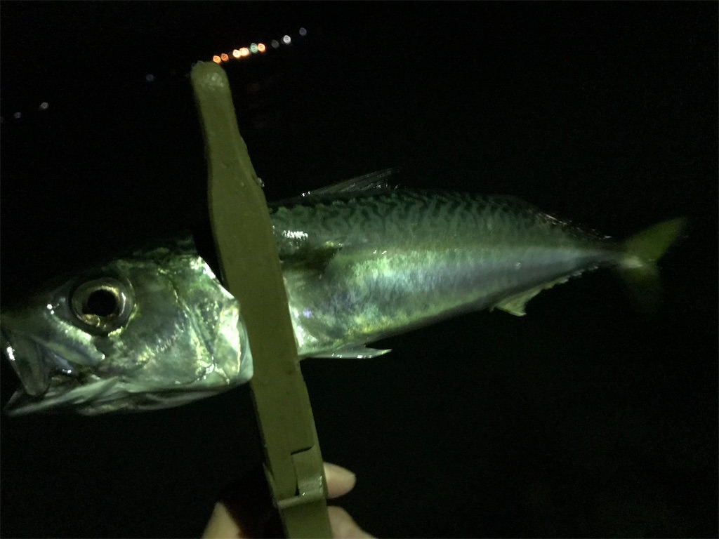f:id:esojima3:20200926093707j:plain