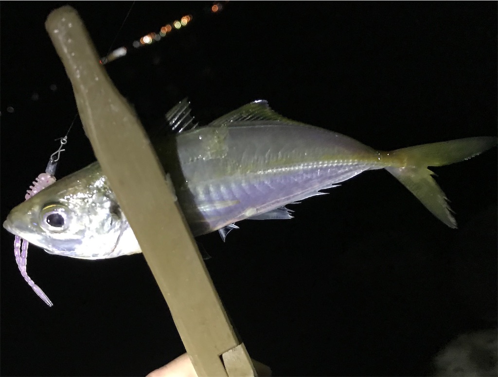 f:id:esojima3:20200926093853j:plain