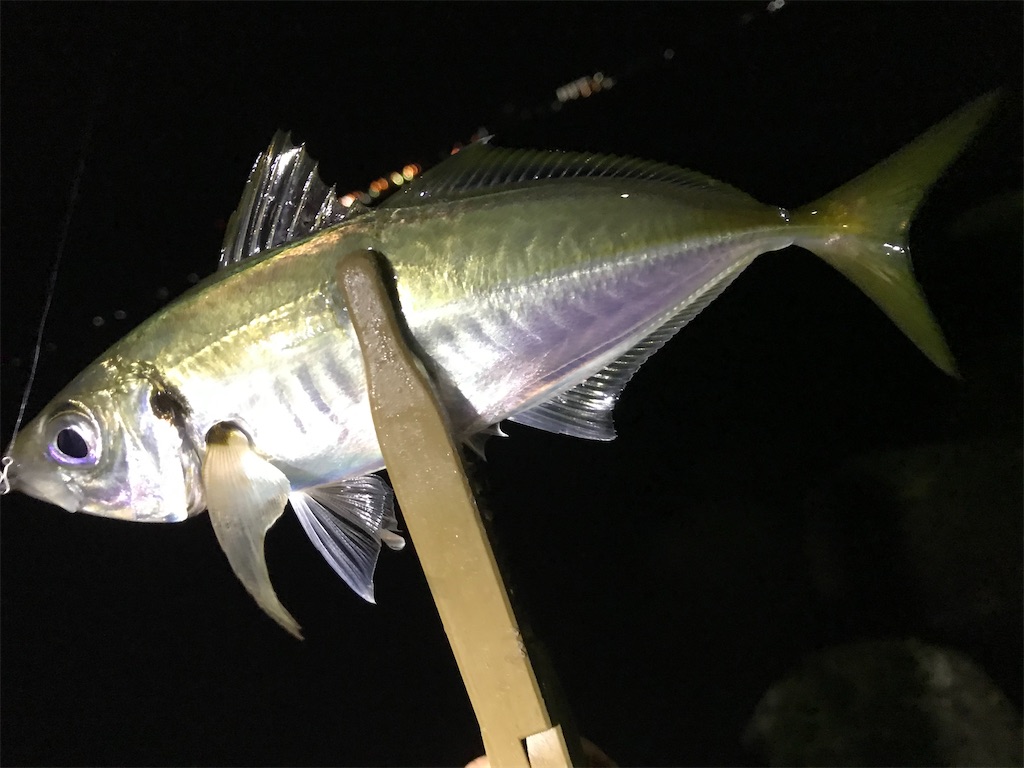 f:id:esojima3:20200926093910j:plain